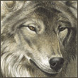 Irola